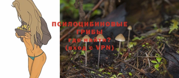 ГАЛЛЮЦИНОГЕННЫЕ ГРИБЫ Алексин