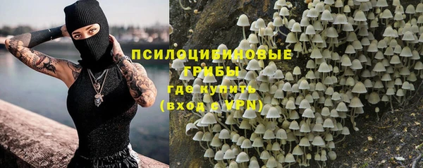 ГАЛЛЮЦИНОГЕННЫЕ ГРИБЫ Алексин