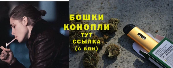 ГАЛЛЮЦИНОГЕННЫЕ ГРИБЫ Алексин
